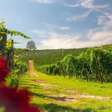 La Rosa Nel Borgo - Con Balcone E Garage *