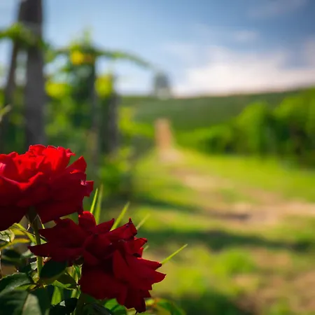 شقة La Rosa Nel Borgo - Con Balcone E Garage *